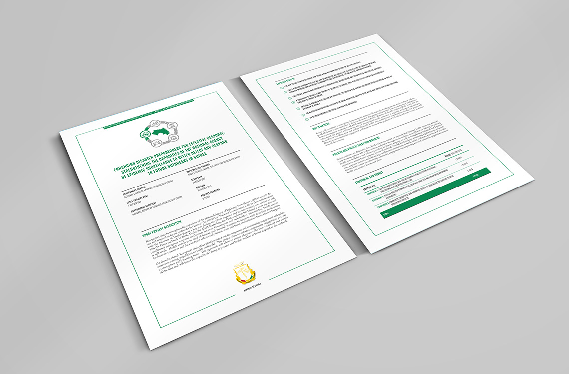 Fiches récapitulatives présentant les projets à mettre en place dans le cadre du Fonds National de Relance et de résilience Post-Ebola pour la République de Guinée - PNUD Guinée