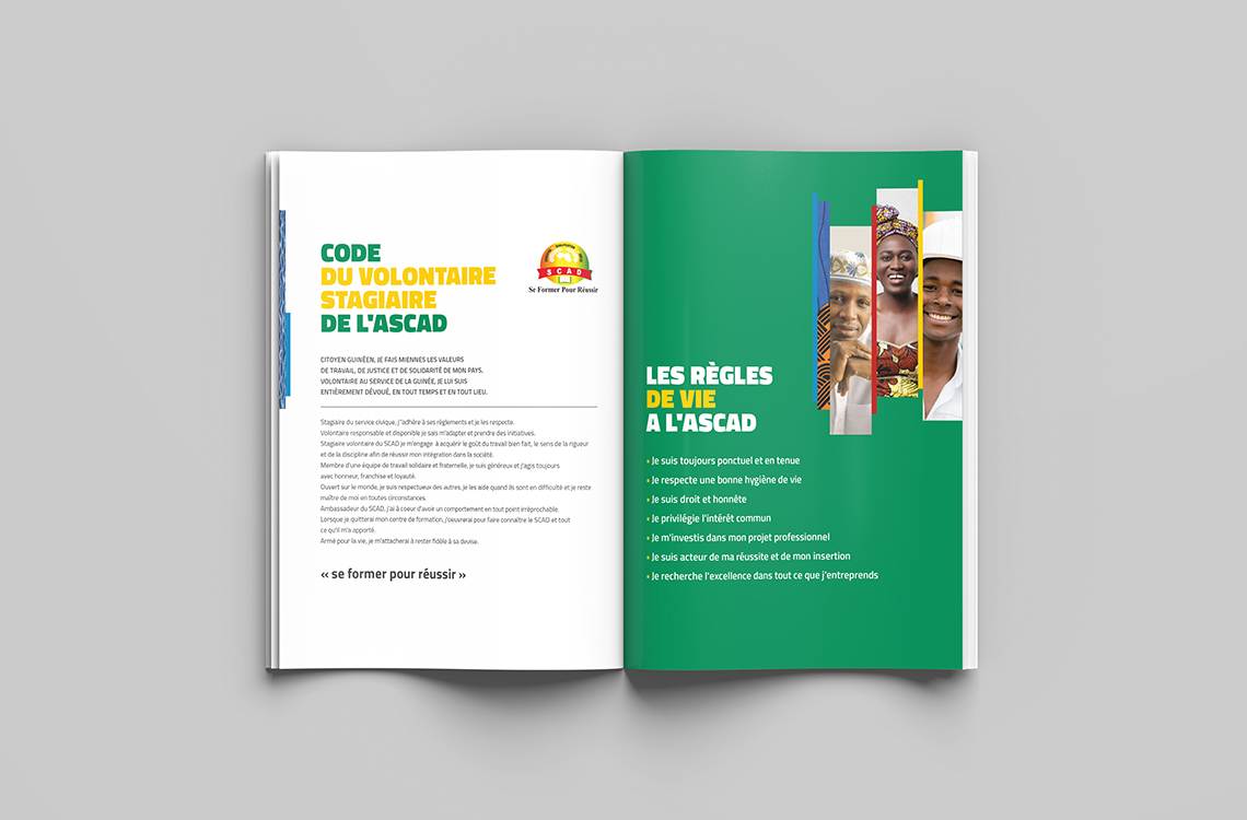 Affiche présentant la contribution du PNUD Guinée dans la lutte contre Ebola